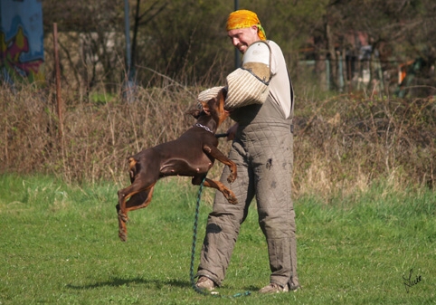 Hesta di Altobello - training 4. 4. 2007